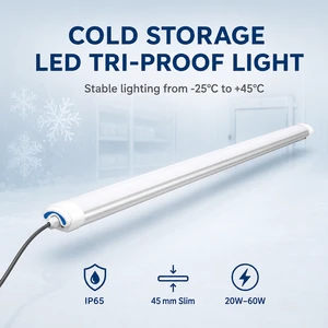 Cold Storage LED Tri Proof Light IP65 Aluminum Linear Lighting Fixture For Minus 25 Degree Environment