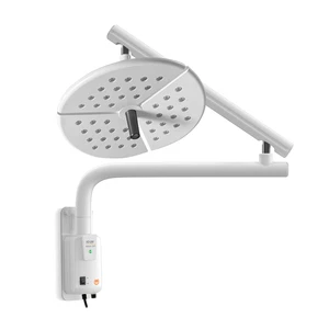 Wall-mounted Electric Surgical LED Examination Light CE Certification Dental Veterinary Use High CRI 95 65000Lux Illumination