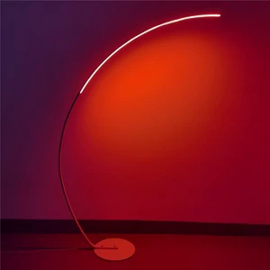 Lamp Floor Light Stainless Steel Minimalist RGB Modern Simple Lifting Fishing Floor Lamp Nordic Decorative Floor Lamp