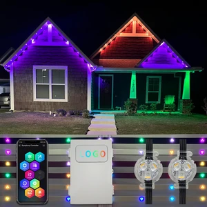 Twinklight Outdoor Christmas LED Pixel Lighting RGBW Emitter Waterproof and IP68 Rating for Holiday Decorations