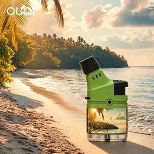 Wholesale Torches Butane Electronic Lighters Refillable Beach Style Cool Lighters For Trip