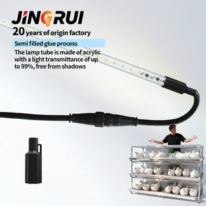 IP67 Waterproof T5 T8 LED Poultry Light Tube Flicker Free Dimmable For Chicken Farm