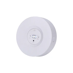 LED Emergency Lights 220V Indoor Surface Mount Surface Mount Emergency LED Auto Test Emergency Light