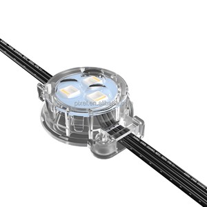 30mm 0.86W Led Pixel Point Lighting DC12V Outdoor Waterproof 5050 Smd Smart RGBW Permanent Christmas Lights Outdoor Decoration