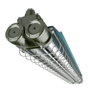 2x36w Hazardous Area Lighting Hanging Linear Light Explosion-proof Lamp Explosion Proof Fluorescent Linear Light