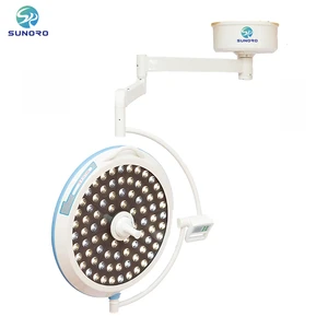 Medical Examination Shadowless Surgical Operating Lamp LED Medical Lamp for Pet Hospital Dental Clinic Operating Room