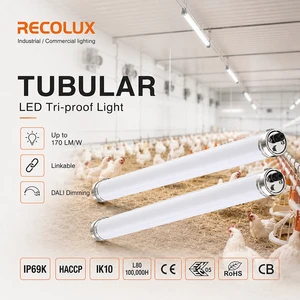 Chicken Farm LED Lighting IP69K Tubular Tri Proof Fixture Linkable for Poultry House and Farm Buildings