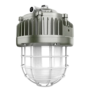 Long Life Cheap Explosion Proof Light Led 60W Explosion Proof Lamp Explosion-proof Lights for Warehouse Gas Station