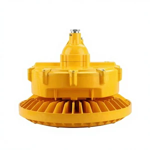 Explosion-Proof Light High Efficiency LED Lamp IP66 Rating Waterproof for Dangerous Flammable Explosive