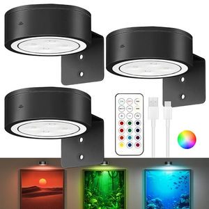 Picture Lights Wall-Mounted 13 RGB Color-Changing LED Art Display Light Rechargeable Battery Operated Magnetic Remote Control