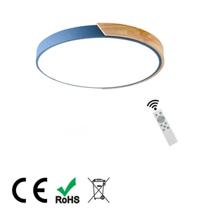 Dimmable Remote LED Ceiling Lamp Modern Minimalist Shape Smart Home Light Motion Sensor for Living Room IP54 Rated 5-Year
