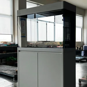 Elegant Large Format Large Fish Tank Floor Standing Partition Wall Soft LED Lighting System Deco Aquarium