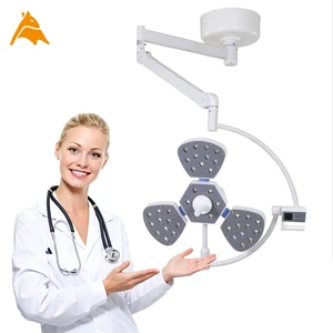 Professional Medical Light Factory Custom Single Head Shadowless Surgical Light Led Operating Light Hospital Equipment Wholesale