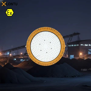 For IECEX Certified 100W 150W 200W Bridgelux LED Source Hazardous Area Explosion-Proof Lights