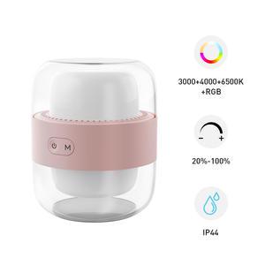 TAIKOO Rechargeable Modern Simple Bedside Ambient Table Lamp Night Light RGB Light Dimmable Indoor Outdoor Portable