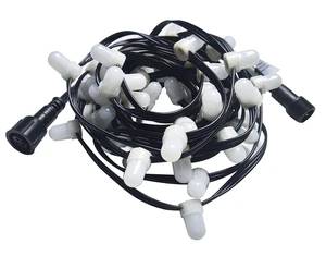 12mm DC12V 0.15W Outdoor Indoor Christmas Decoration Digital RGB LED Pixel Light String
