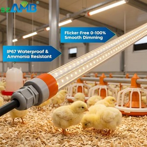 T8 Full Spectrum LED Poultry Light System 220V IP67 Flicker-Free Ra80 CRI Dimmable 5-Year Lifespan