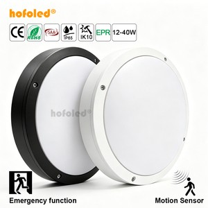 Hofoled 90-180Mins Staircase Battery Backup Emergency LED Ceiling Light Wall Mounted LED Microwave Motion Sensor Bulkhead Light