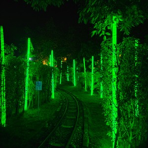 Life-Size 3D Fiberglass Bamboo Landscape Decorative Holiday Lights IP65 Indoor & Outdoor Festival Lighting