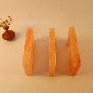 20x10x2cm Pink Himalayan Salt Brick Tiles Eco-Friendly Carved Salt Lamp Optimal for Spa Massage Home Decoration