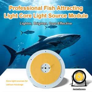 Professional IP68 Waterproof Aluminum Alloy COB LED Fishing Light for Boat | Energy Saving Long Life Night Fishing Lamp 1-Year