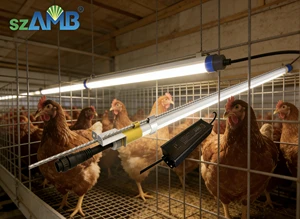 T6 LED Tube DC48 IP67 Flicker-free 4ft 4W Red+White Switchable Poultry Lighting