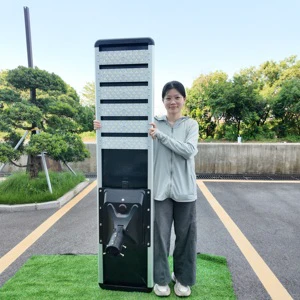 100W 150W 200W 250W 300W Lighting Waterproof Ip66 Outdoor Motion Sensor Led Solar Street Light Decorative For Roads