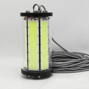 Hot Sale LED Fishing Lights Lamp Underwater Green Lure Squid Fish Flounder Attracting 3000w Fishing Lights for Dock Boats