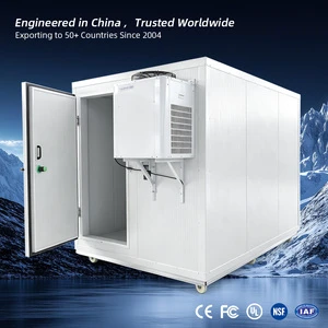 Custom Made Walk-in Cooler Cold Room Storage for Dairy Beverage Storage LED Interior Lights Easy Assembly Automatic Emerson