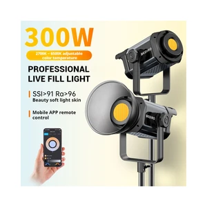 Movie Level Metal Photography Lamp Fill Light Adjustable Color Temperature Remote Control 300W for Professional Photography