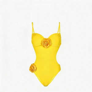Hot Sale Nylon Spandex Simple Design Elegance Vacation Fashion Swimwear Bathing Swimsuit Belly Cover Bikini Set in Summer