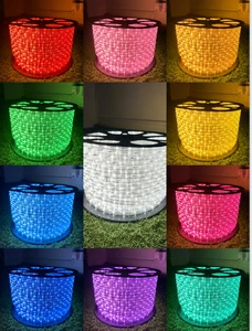 LED Rope Light High Brightness 100M 220V 110V Waterproof Outdoor Christmas Decoration Light Warm White Red Green Blue RGB Yellow