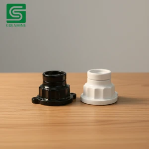 Colshine Black and White Porcelain Socket E26 E27 for Ceiling Wall and Hanging Lamp Installation
