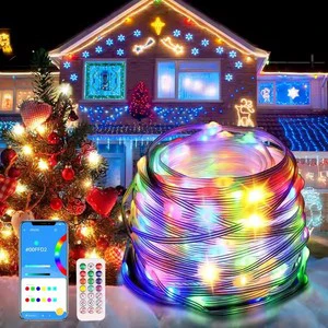 Smart Christmas Fairy LED Micro Light String App Smart Remote Control Outdoor RGB Waterproof Xmas Lights