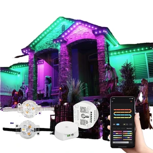 IP67 24V LED RGBW PC Dimmable CE Certified Outdoor Christmas Light Strings for Landscape Permanent Installation