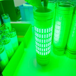 Rechargeable IP68 Squid LED Fishing Lights White Green Blue Underwater LED Lights with Battery Inside