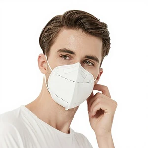 Sandacare N95 Medical Grade Mask GB19083-2010 Standard Ethylene Oxide Sterilized Independent Packaging Adult Protective Mask