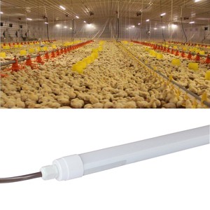 Anti-corrosion 120lm/w IP65 18W 36W 44W Chicken Pig Farm Waterproof T8 T10 T12 Led Tube Light for Poultry House
