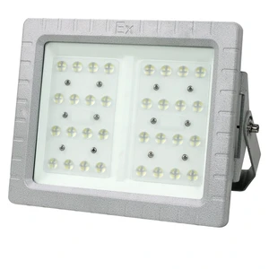 Factory Direct Explosion Proof Pendant Light 30W 40W 100W LED Street Light Explosion Proof Workshop Explosive Proof Lighting