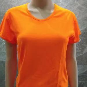Wholesale Cheap Plus Size Polyester Eco-Friendly Breathable Blank Dry Fit Sport Women's T-shirts