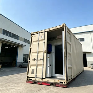 Advanced Climate Controlled 40ft Containerized Mushroom House with LED Grow Lights for Year Round Urban Agriculture Projects
