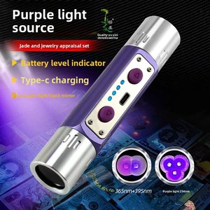 Short Wave UV Flashlight 254nm 365nm Rechargeable Built-in 18650 Battery Handheld for Banknote Pet Screen Detection