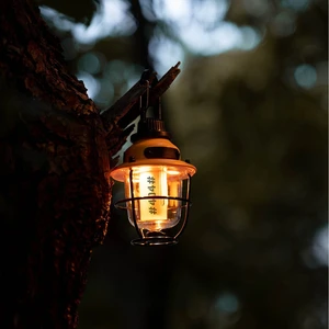 Factory Direct Pc Dimmable Portable Pinecone Light for Picnic Road Trip Yard Hanging Lighting