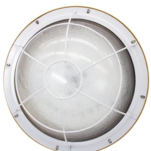 Integrated Explosion Proof Luminaire Pre Assembled for Quick and Easy Deployment