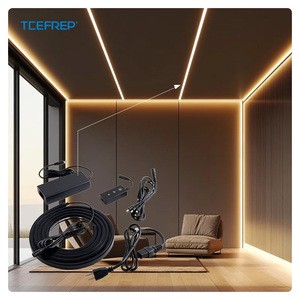 IP67 Waterproof Wall Panel With LED Light 24V Black Neon Light 2700K 3000K 4000K 6500K Optional Flat Noodles Wooden Wall Light