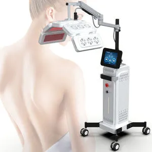 Professional LED PDT Machine For Red Light Therapy Device With CE Certification Standing Type With ZA & IT Plugs