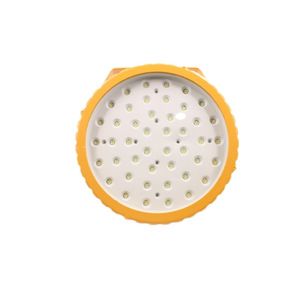 LEDUN 50W LED Explosion Proof Light Explosion Proof Floodlight for Explosive Atmosphere