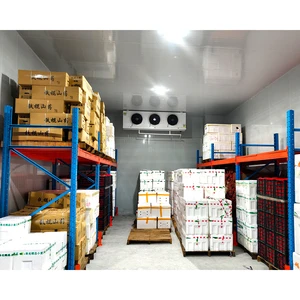 Onion Grain Chiller Units Lighting 100 Ton Cold Storage