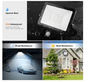 Aluminum Sensor LED Flood Light 30W/50W/100W Garden Dusk Dawn Sensor AC IP66 Outdoor Lighting with Sensor CE ROHS RCM UKCA