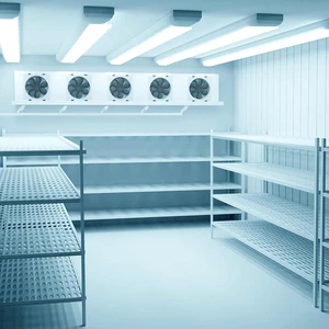 Energy-Efficient LED Lighting Walk-in Cooler for Supermarket Restaurant Customizable Cooling Container Cold Storage Room
